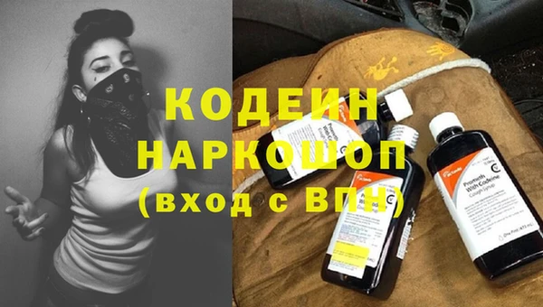 дживик Краснослободск