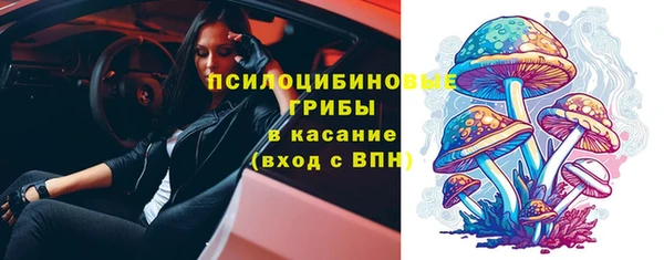 дживик Краснослободск