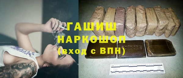 дживик Краснослободск